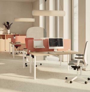 Ineo Harmony / Bureau double